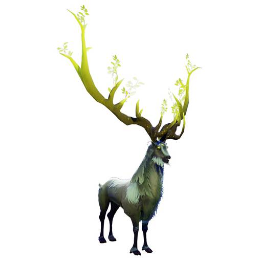 Новости - Stag